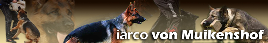 iarcobanner